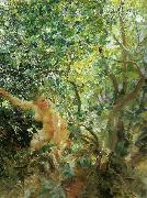 Anders Zorn skramd Germany oil painting artist